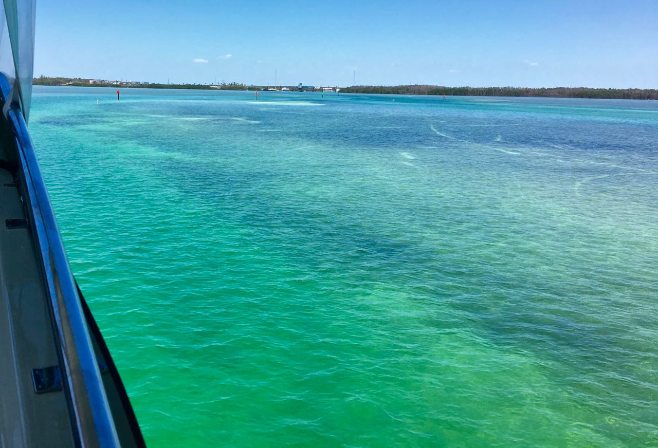 Marathon To Islamorada Adventures Of OLOH