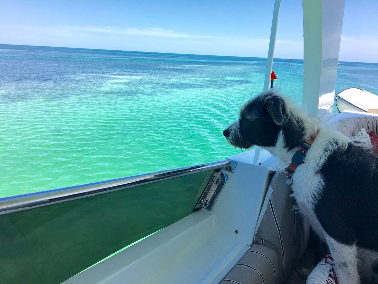 Marathon To Islamorada Adventures Of OLOH